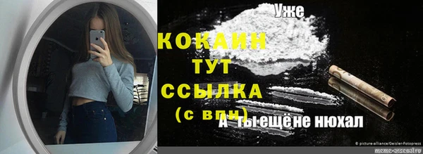 амф Михайловск