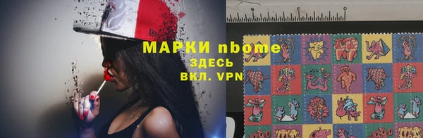 стаф Надым