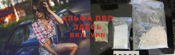 стаф Надым