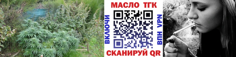 закладки  Элиста  ТГК концентрат 