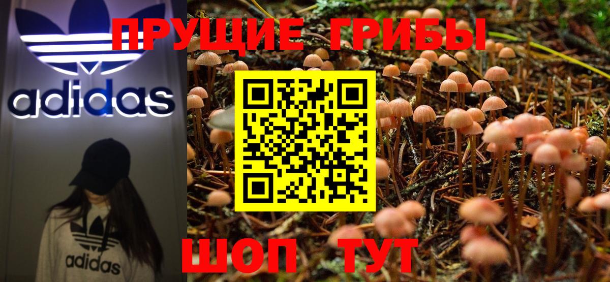 Псилоцибиновые грибы MAGIC MUSHROOMS  Вход с VPN  Элиста 